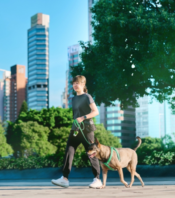 GBS pillar 585x660 - 5