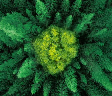 宏摯家傳承保險計劃